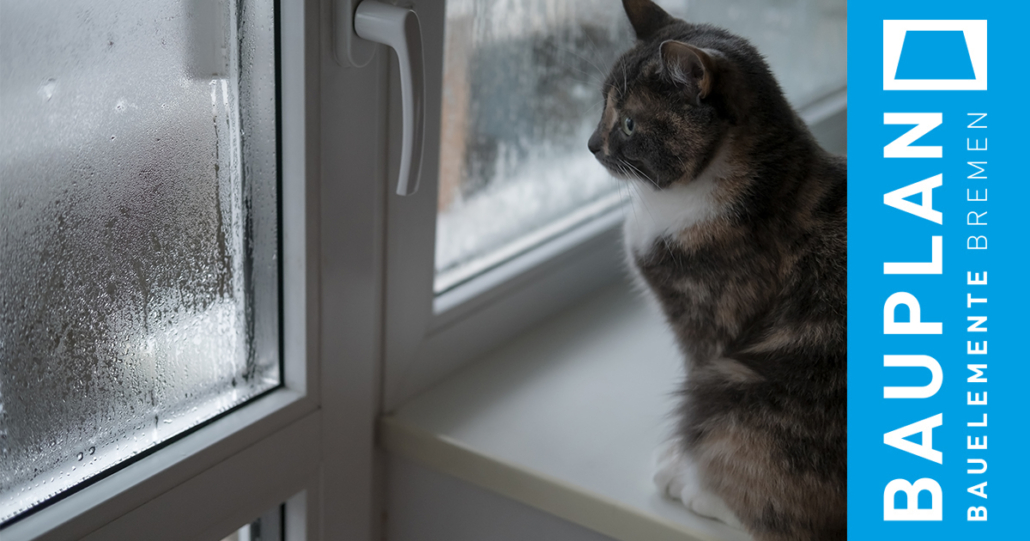 Kondenswasser am Fenster Was dagegen hilft bauplanbremen.de
